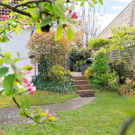 Stettiner Strasse 6 Whg 3 Daire